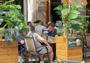 Outdoor restaurant patio with wooden planters and greenery